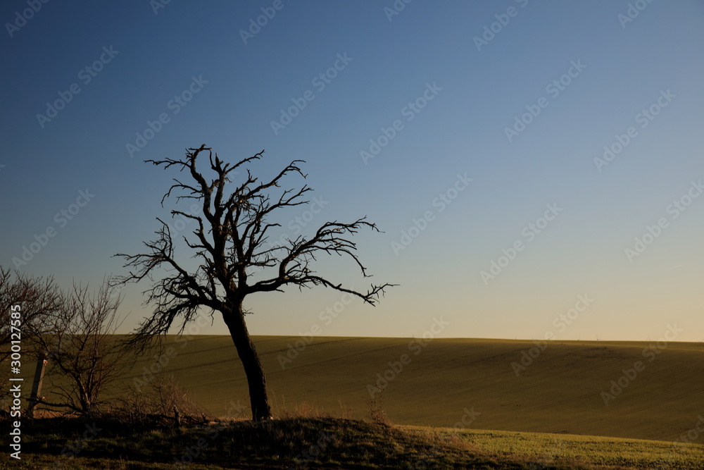 Thüringen - schöne Natur