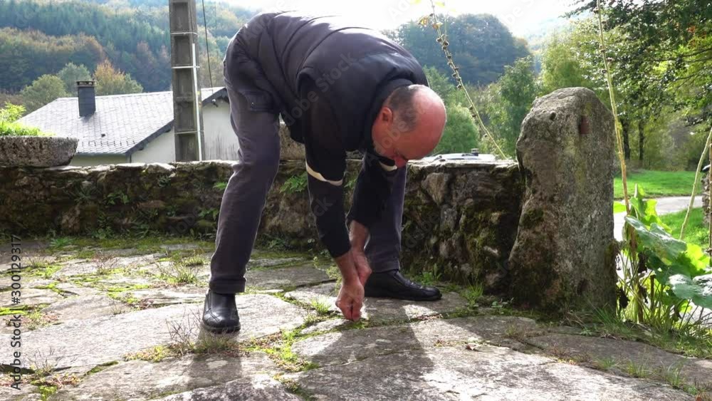 An elderly man tears grass between stone slabs on the terrace of a country house An elderly man tears grass between stone slabs on the terrace of a country house