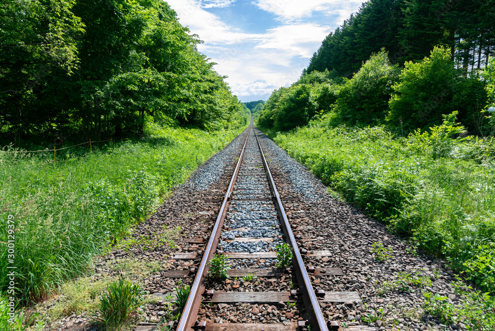 Obraz premium 田舎の線路