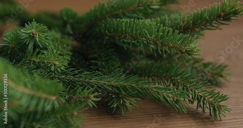Closeup shot of spruce twigs indoor