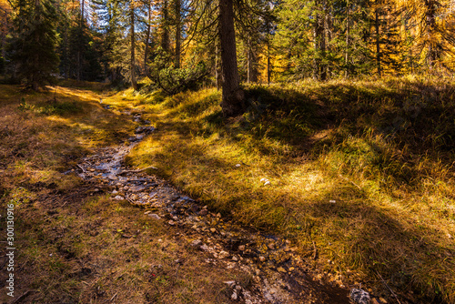 Fototapeta Naklejka Na Ścianę i Meble -  Autumn magic. The golden larches frame the magical colors of the woods in the Dolomites. Cortina d'Ampezzo. Italy
