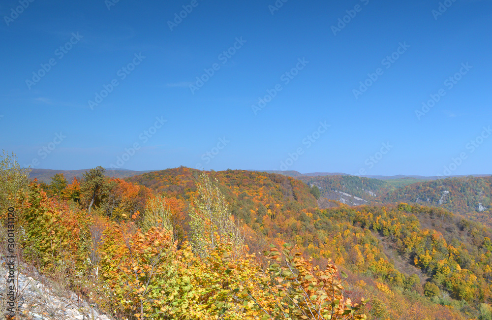 Autumn landscape