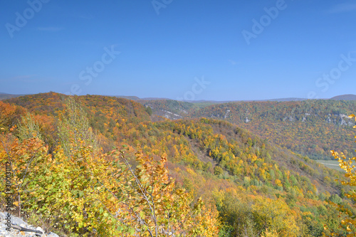 Autumn landscape