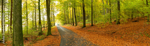 Herbststimmung © Winfried Rusch