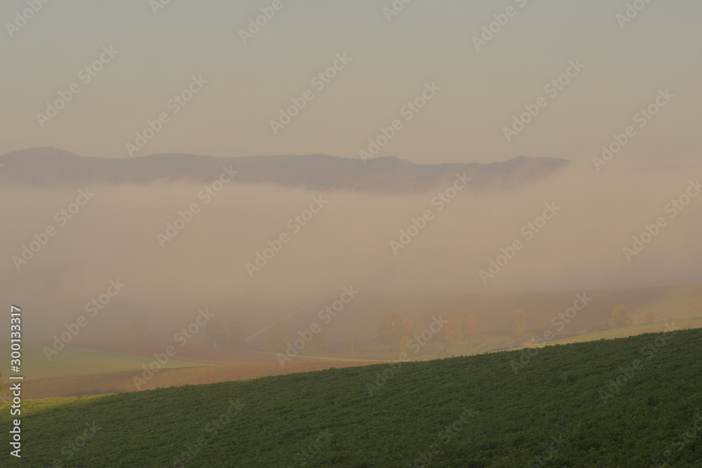 美瑛　丘の朝霧