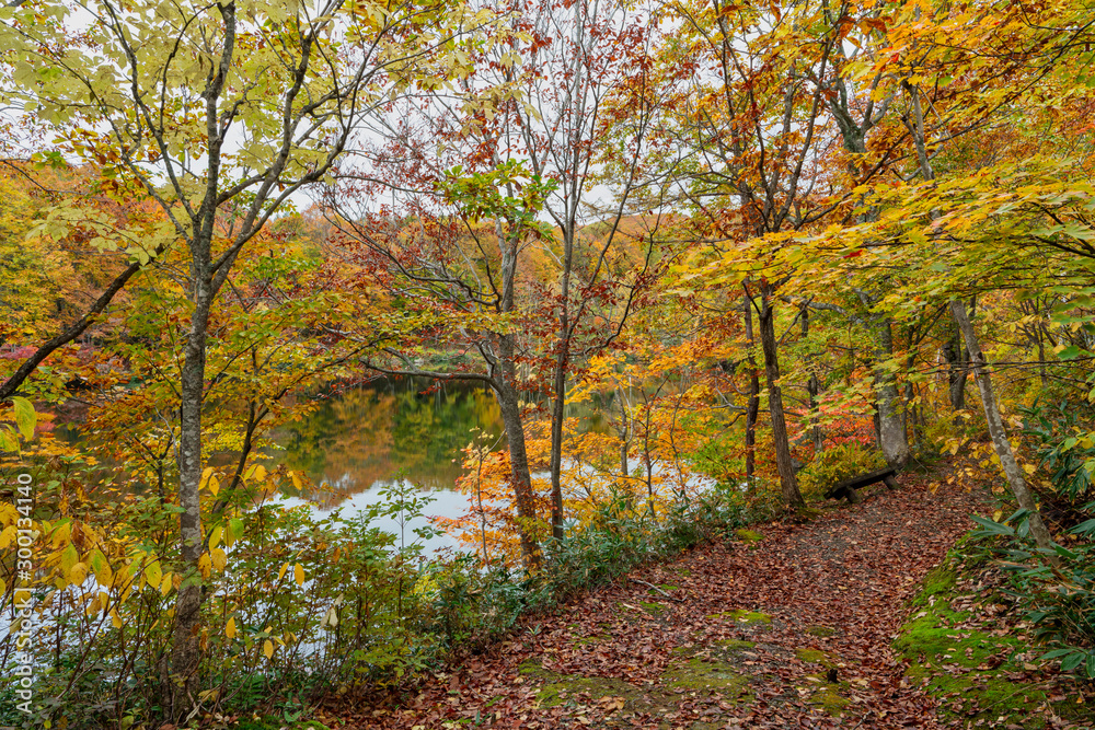 紅葉の仙人池 紅葉の仙人池