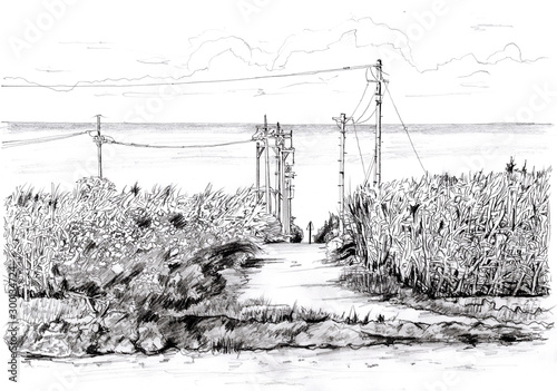 海が見える丘