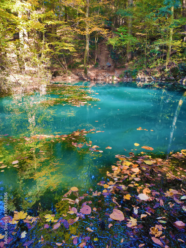 Fototapeta Naklejka Na Ścianę i Meble -  River source in the mountainous forest