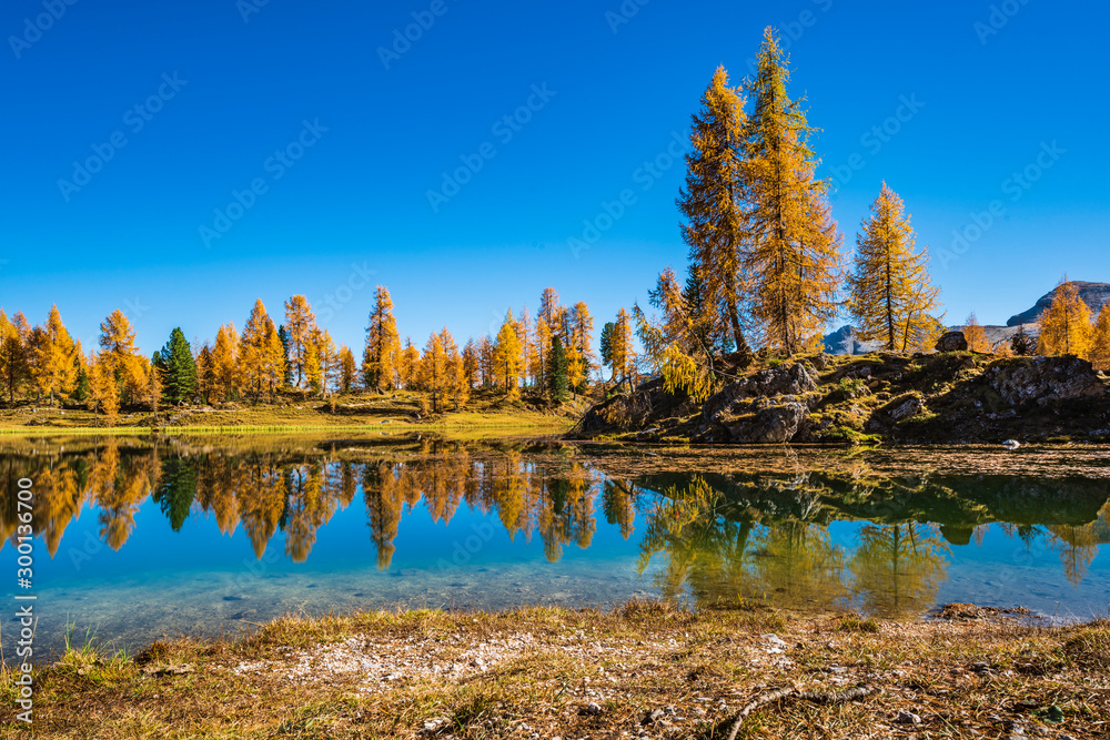 Fototapeta premium Golden reflections on the Federa lake. Dreamlike Dolomites. Italy