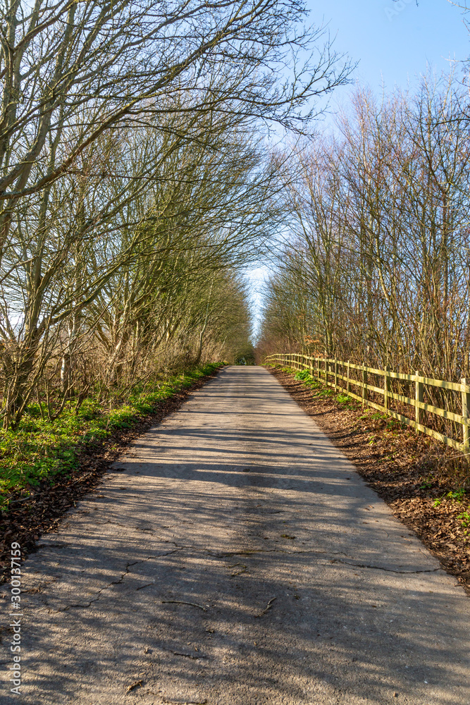 Looking along a country road in Sussex on a sunny winters day