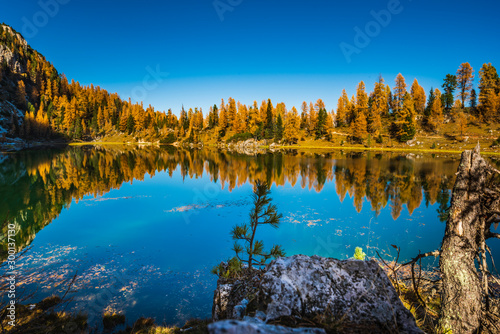 Golden reflections on the Federa lake. Dreamlike Dolomites. Italy