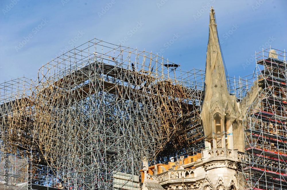 Fototapeta premium Notre Dame de Paris