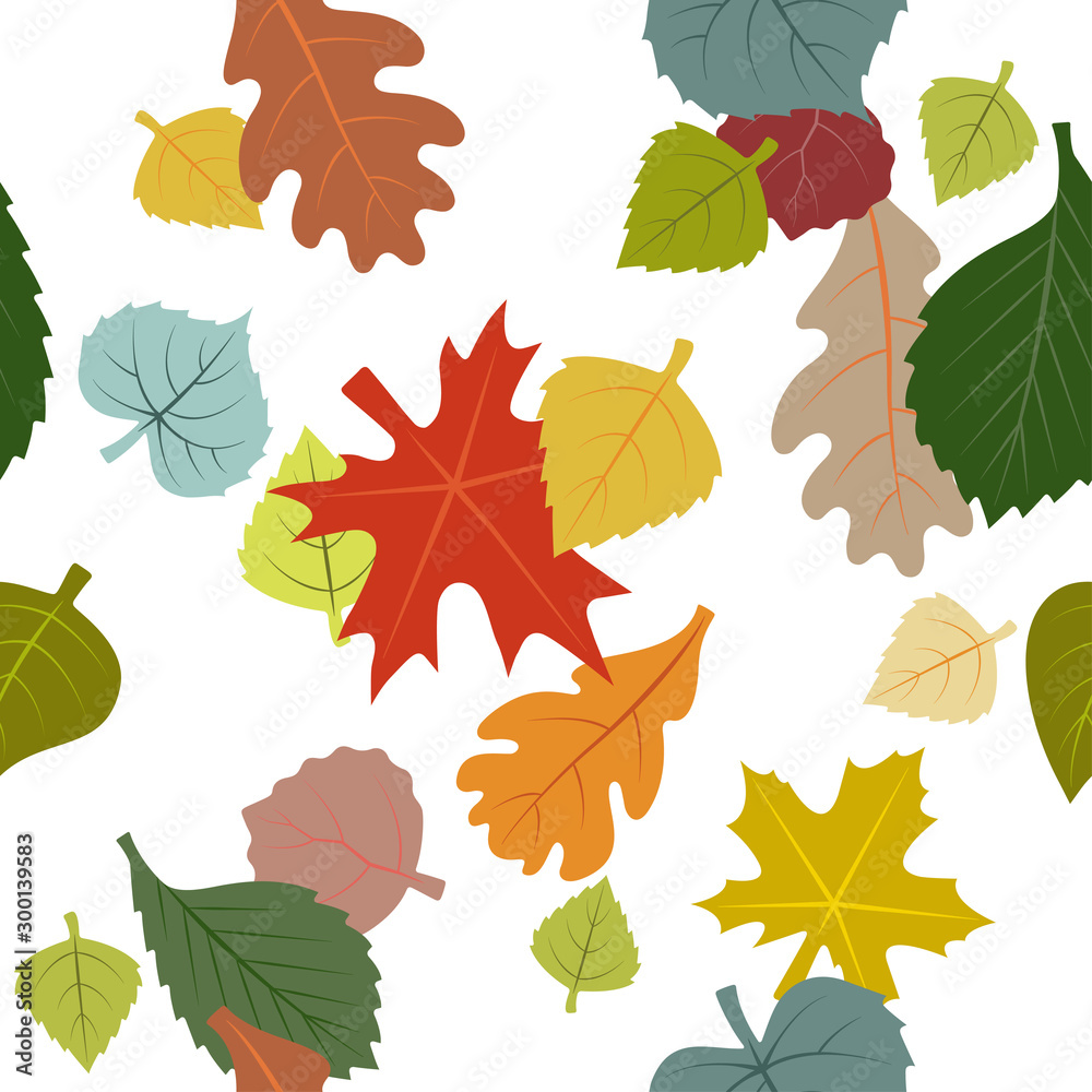 Vector image of autumn leaves. Maple, Elm, Birch, Aspen, Poplar, Oak, Linden