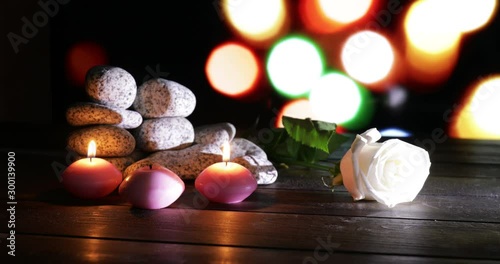 Sfondo con luci colorate e rosa bianca