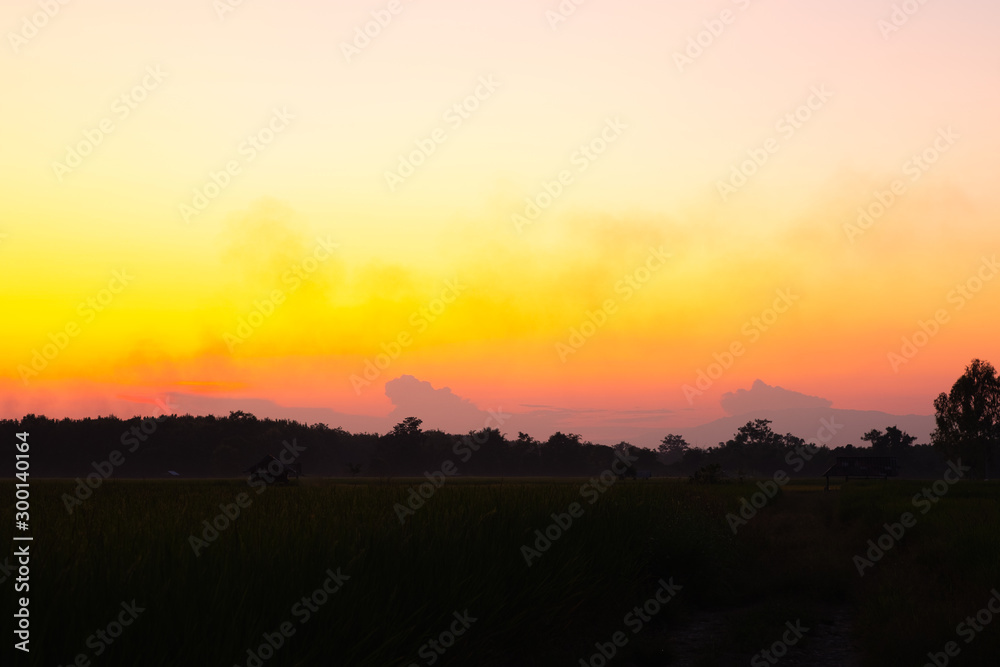 Silhouette sunset or sunrise colorful,orange color