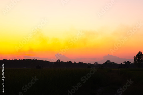 Silhouette sunset or sunrise colorful orange color