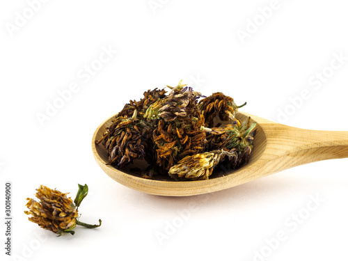 Dried Trifolium pratense flowers lie in a wooden spoon on a white background photo