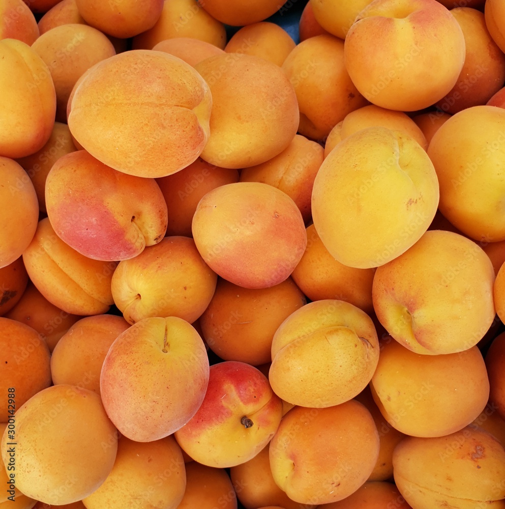 Abricots Abricots