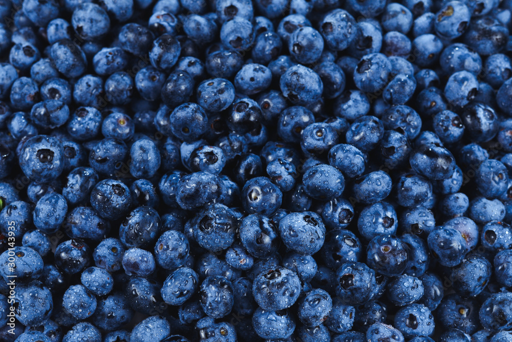Fresh blueberry background. Texture blueberry berries close up. Fresh blueberry background. Texture blueberry berries close up.