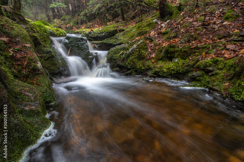 waterfall in forest