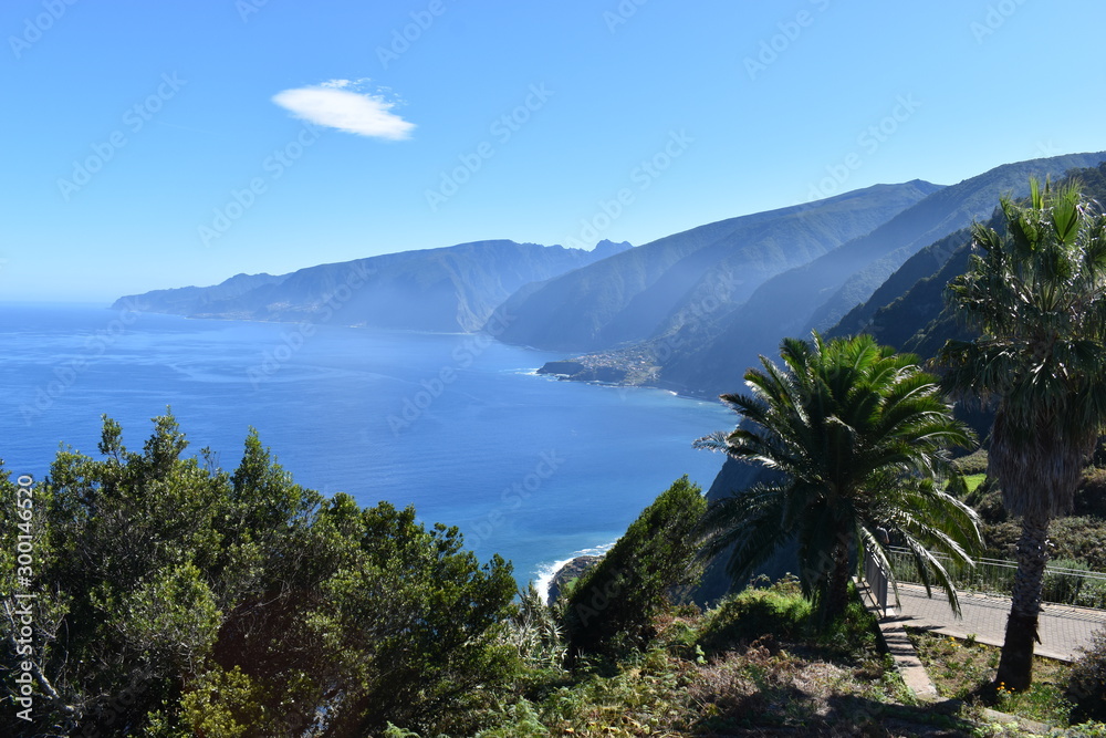 Landscape with palm trees and the blue ocean in Madeira, Portugal
