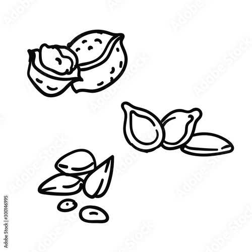 Seeds and nuts icon. Hand drawn simple doodle set. 