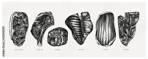 Raw meat top view sketches collection. Vector illustrations of Filet mignon,  rib eye,  strip, flank, 7-bone, t-nbone steaks. Hand drawn cuts of beef.  Steak house, grill restaurant menu 