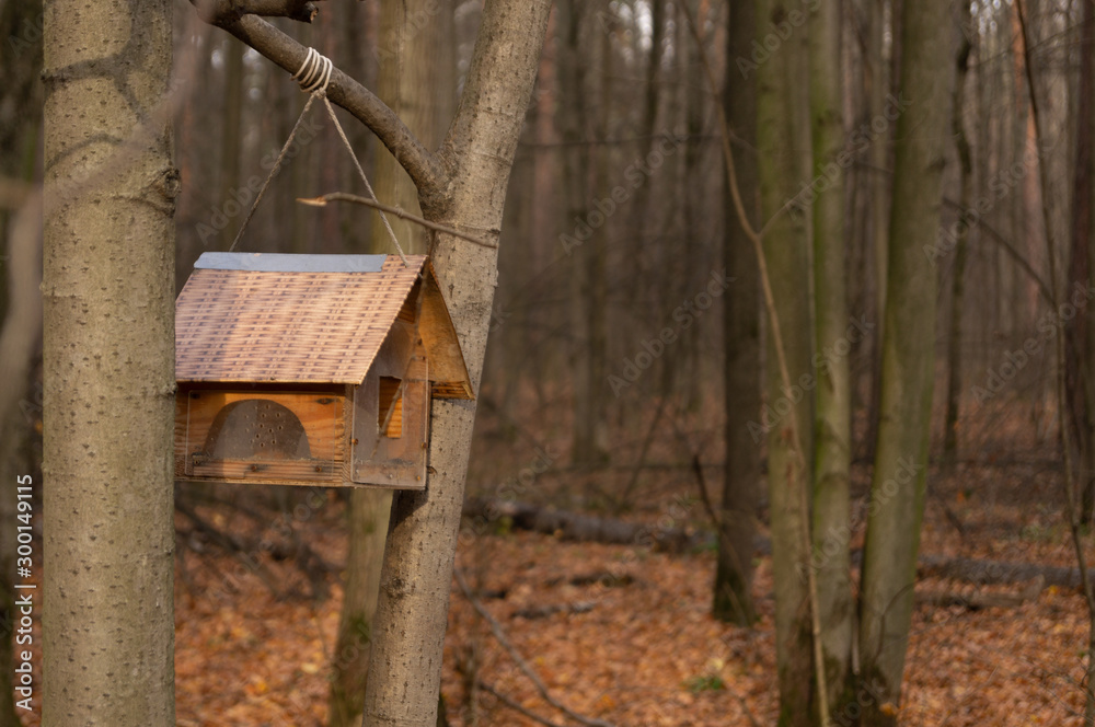 birdhouse in the forest of autumn forest in the afternoon