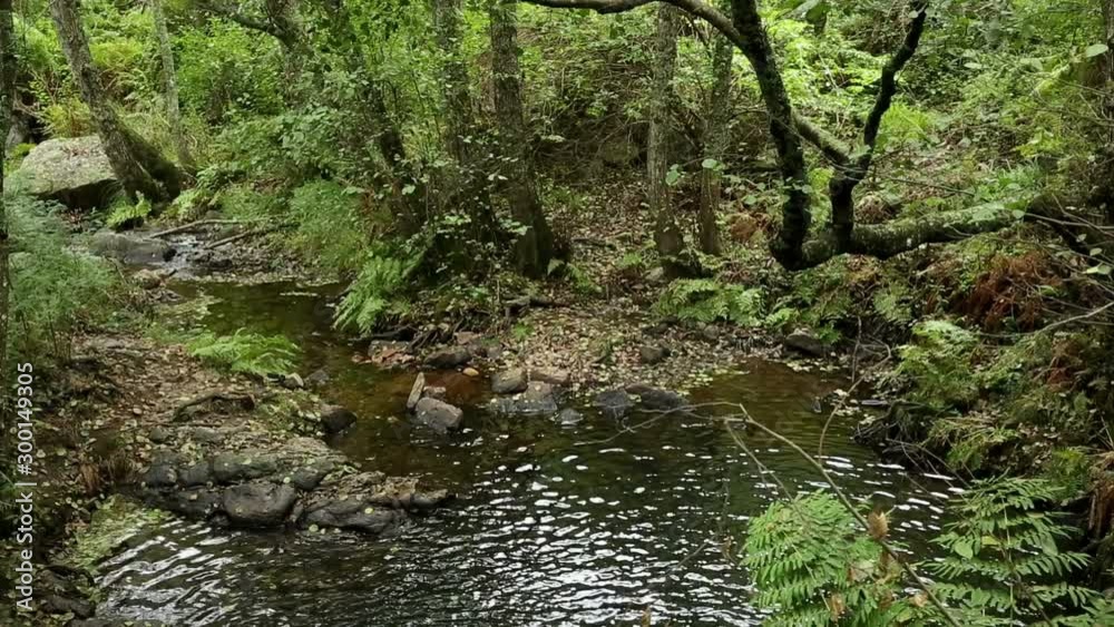 Ribeira do Pisao brook next to Milreu village, Vila de Rei, district of Castelo Branco, Portugal Ribeira do Pisao brook next to Milreu village, Vila de Rei, district of Castelo Branco, Portugal