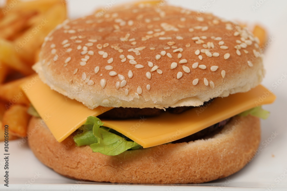 nice hamburger with cheese and bread close up