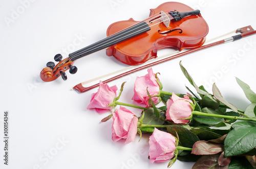 Violin with a bow and five pink roses on white. Free space for your text.