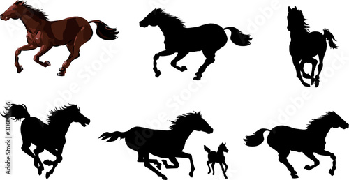Horse animal silhouettes set. Vector graphics