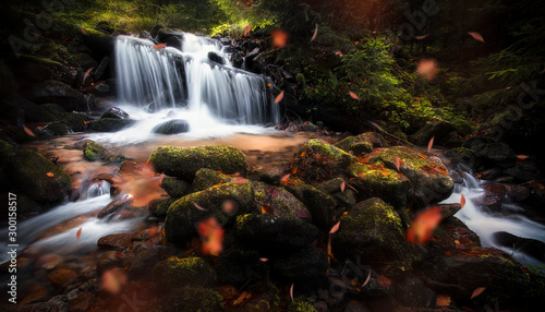 Stream