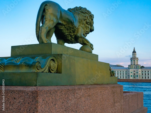 Saint Petersburg. Russia. Kunstkamera. Lion on the waterfront. Admiralteyskaya embankment. Architecture of St. Petersburg. Cuntskamera against the blue sky. Vacations in Russia. Russia europe. photo