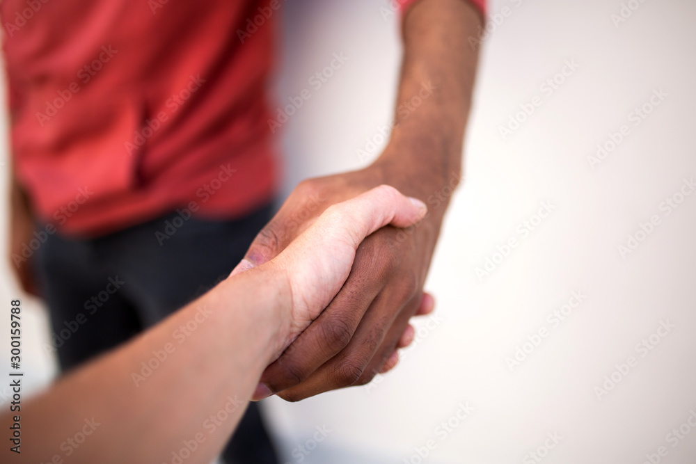caucasian man shaking hands with african american man by white background