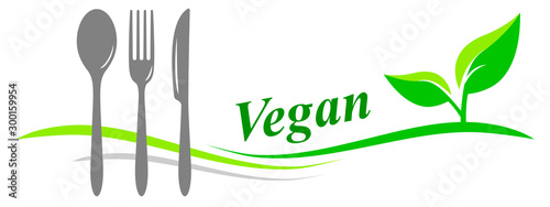 vegan cuisine - 2