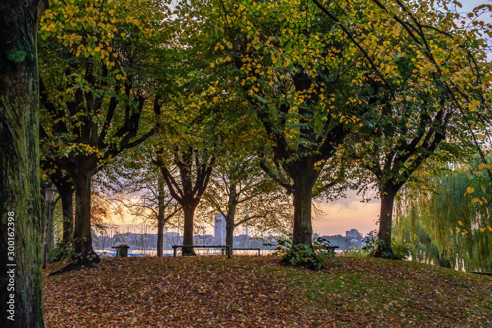 Naklejka premium Hamburg, Germany. Park at the Lake Alster in the autumn.