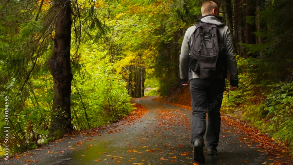 Young man walking on a country road covered in fallen leaves, going through an autumnal forest Young man walking on a country road covered in fallen leaves, going through an autumnal forest