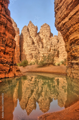 Oaza w wąwozie  zwana guelta na Saharze w Algierii