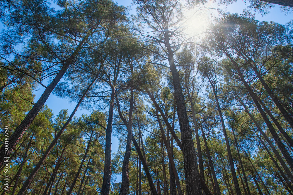 Yazili Canyon national park and forest, Isparta Turkey Yazili Canyon national park and forest, Isparta Turkey