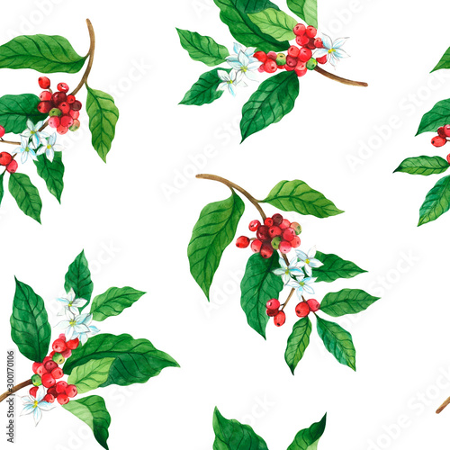 Red coffee Arabica beans on a branch with flowers isolated, watercolor illustration.