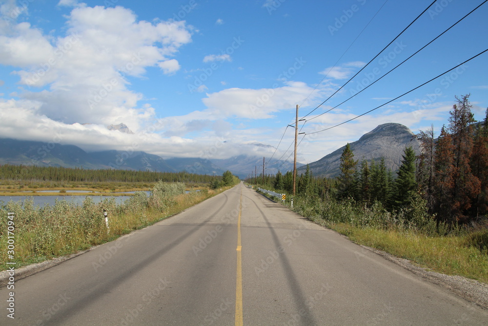 Looking Down Snaring Road, Jasper National Park, Alberta Looking Down Snaring Road, Jasper National Park, Alberta