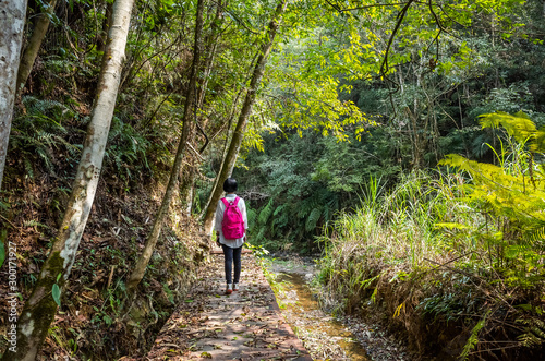 traveling woman walk in forest