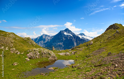 Hiking in swiss alps © swisshippo