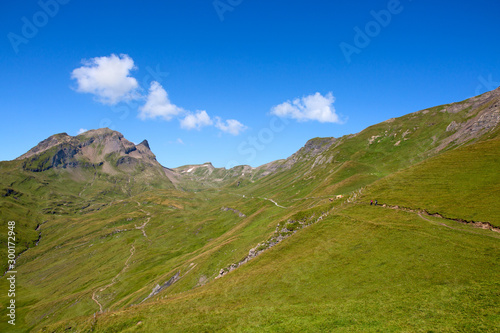 Hiking in swiss alps