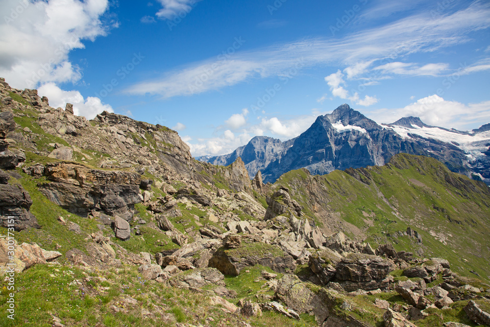 Fototapeta premium Hiking in swiss alps