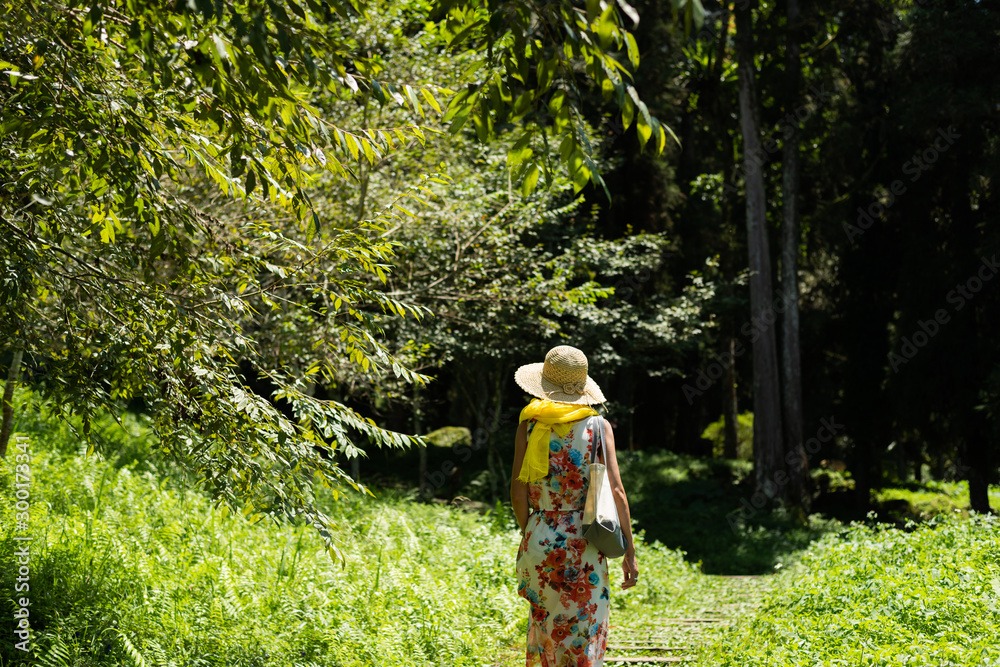 Obraz premium woman hiking in the forest at Xitou