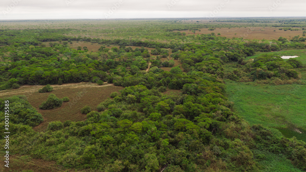 Obraz premium landscape of the pantanal in brazil from above