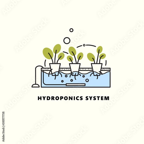 Hydroponics system. Vector illustration in outline style. Home agriculture concept.