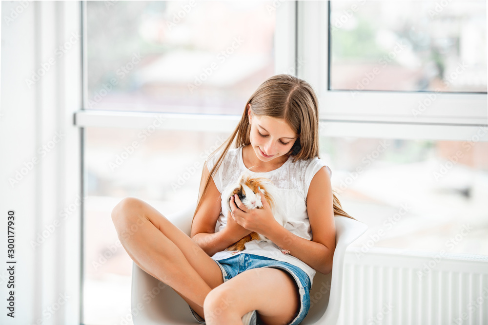 Smiling kid girl holding cute guinea pig Smiling kid girl holding cute guinea pig